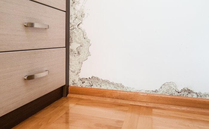 Mould caused by leak
