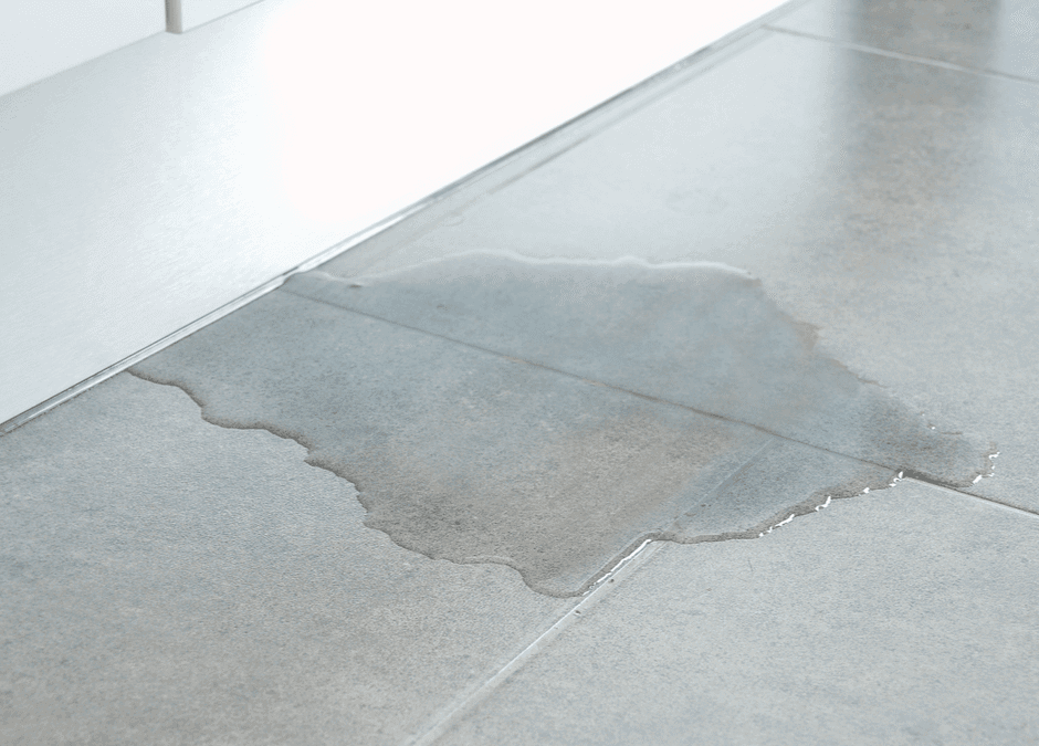 Why is Commercial Leak Detection Important?