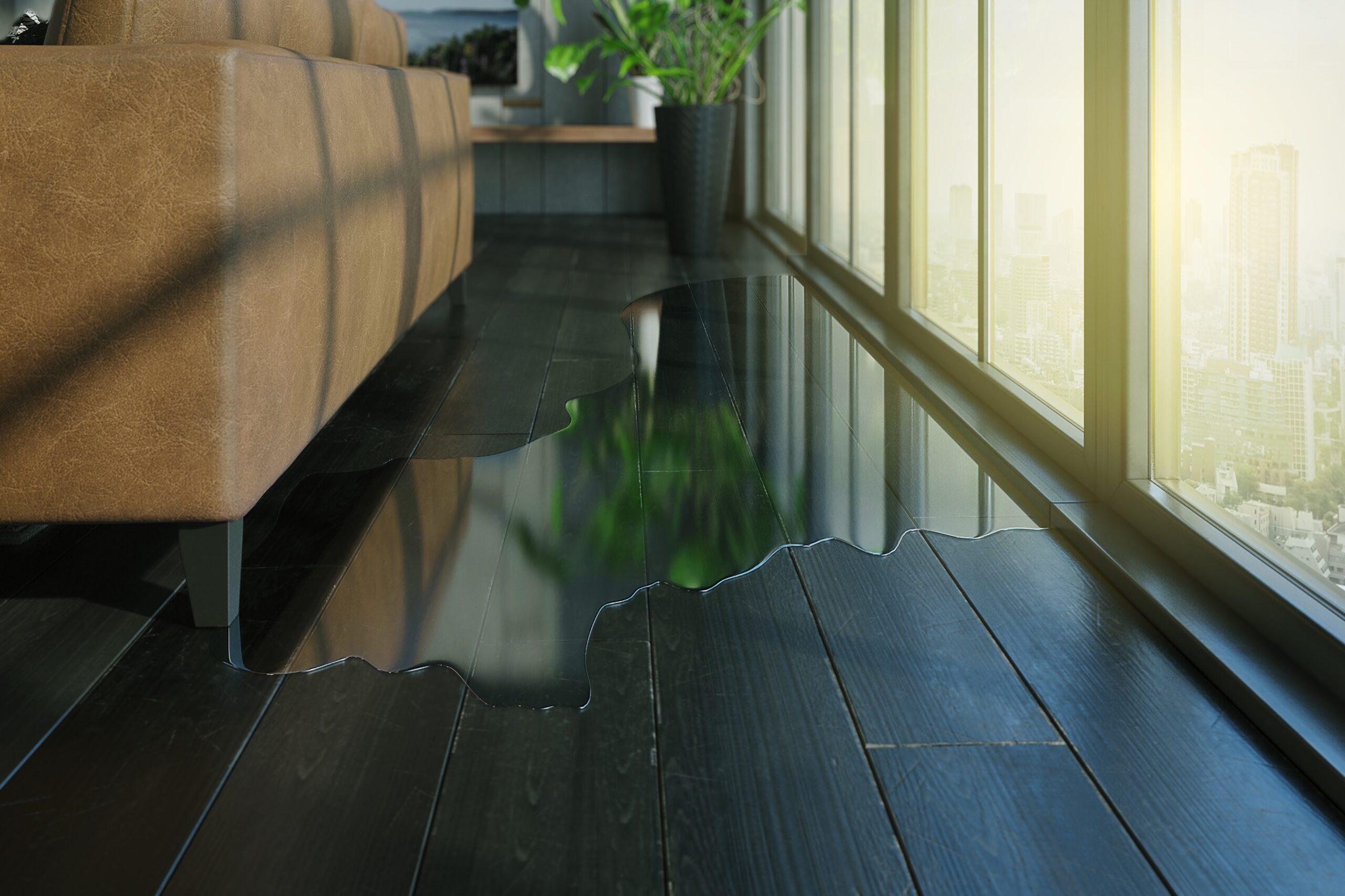 What is Water Damage?