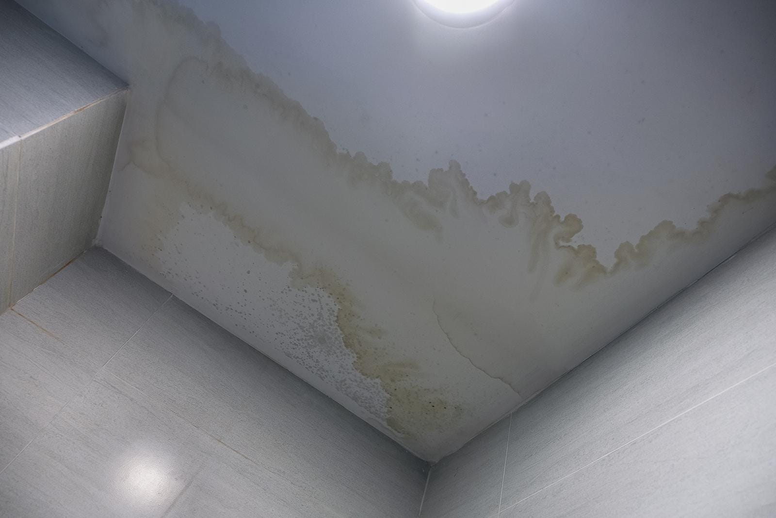 How to Detect a Leak in a Wall