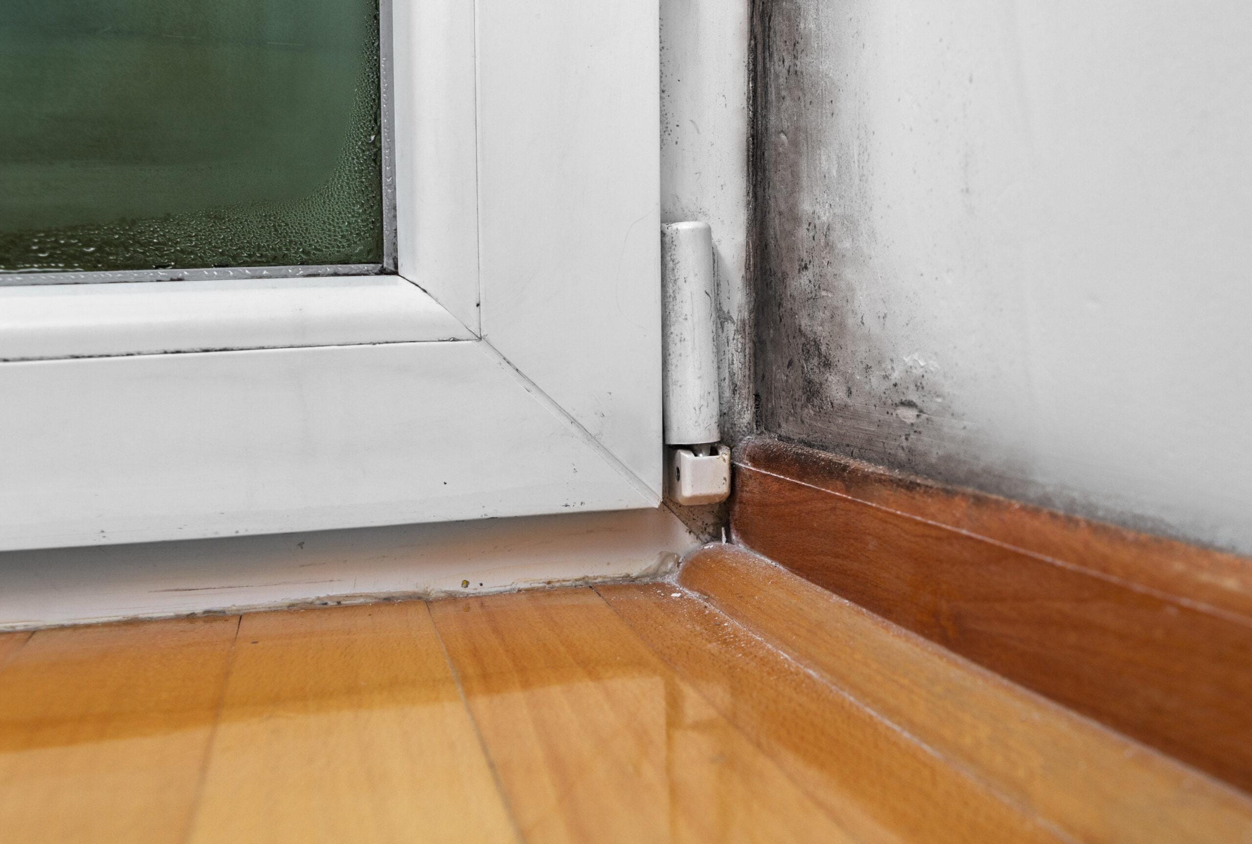 The Quick Guide to Post-Leak Mould