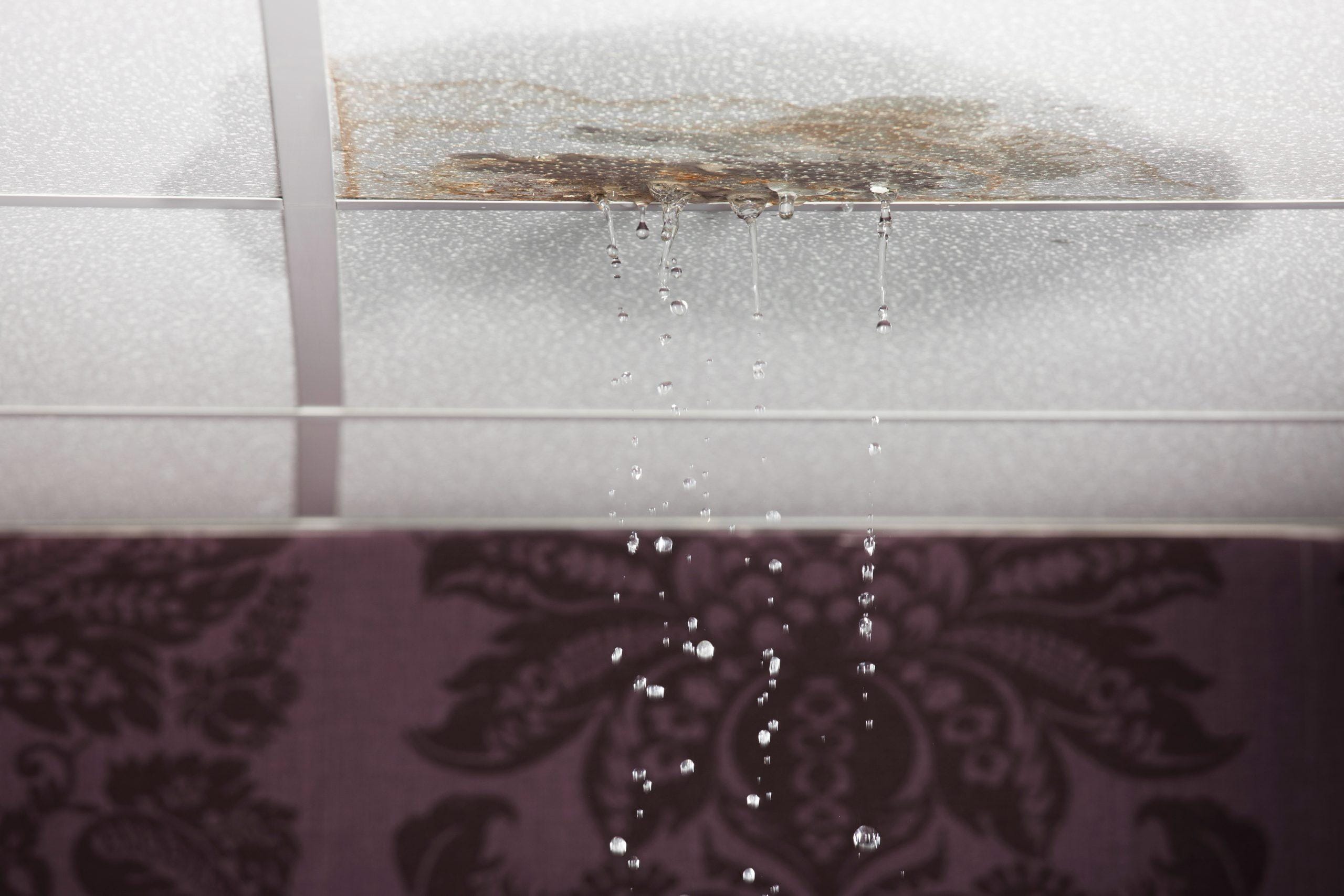 How to Spot Water Damage in Your Home