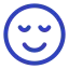 regulation icon
